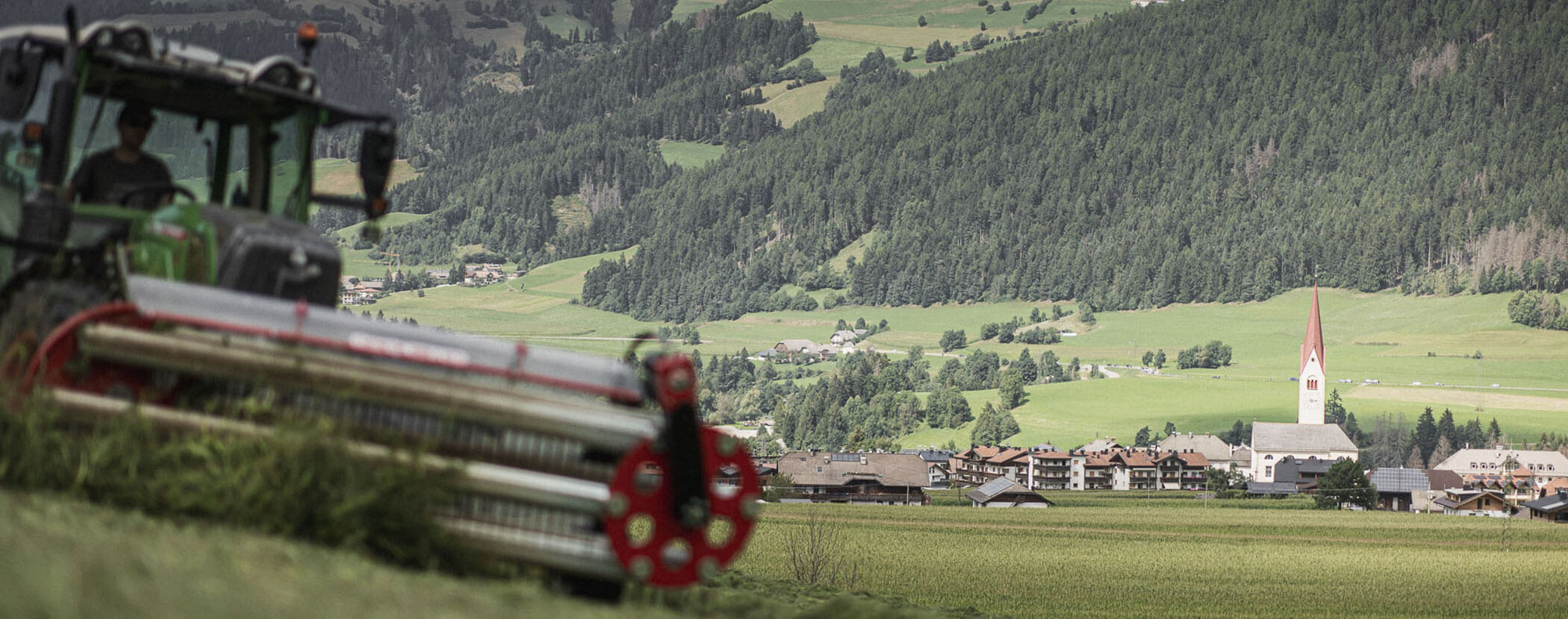 Detail of lawn mowing - Obermairhof in Valdaora