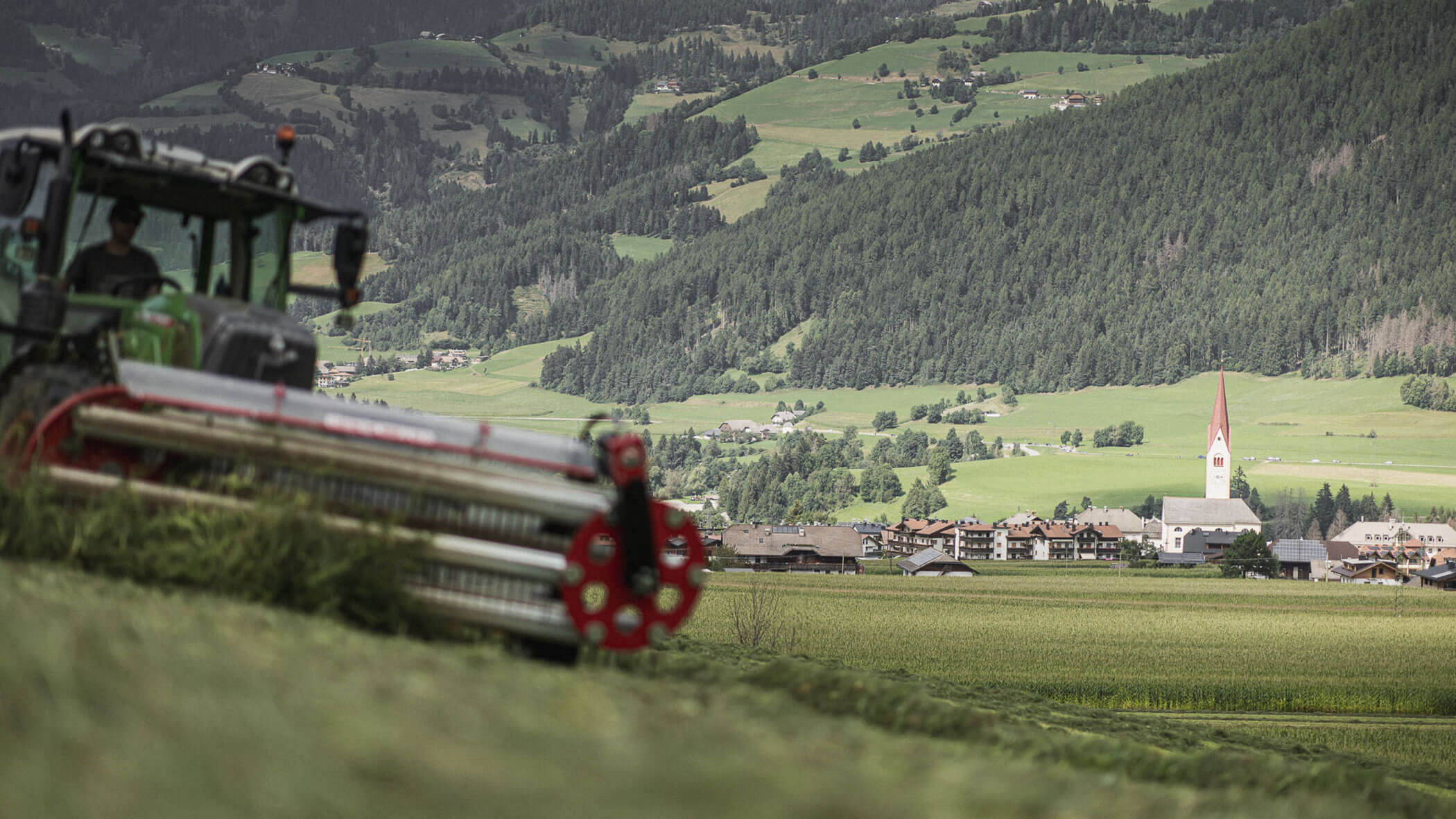 Detail of lawn mowing - horizontal format - Obermairhof in Valdaora