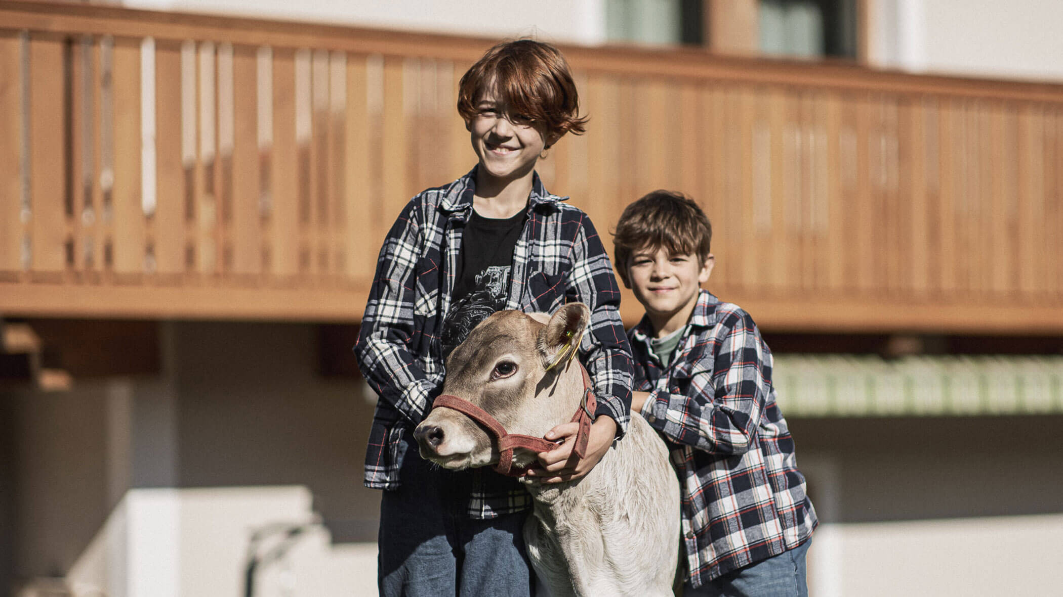 Hosts - sons with calf - horizontal format - Obermairhof in Valdaora